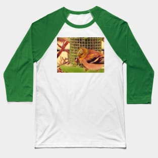 Pretty bird on bird feeder Baseball T-Shirt